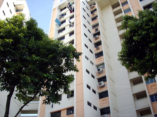 Jurong West Street 52 thumbnail photo